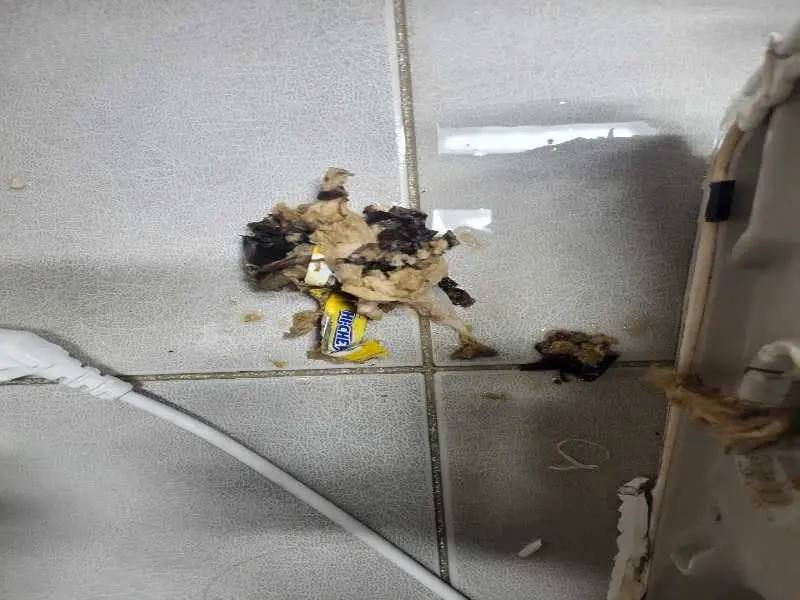 의정부 배관 이물질 제거 사례 3